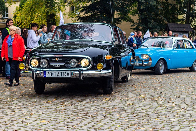 Tatra 603