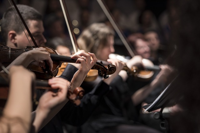 Hudební koncert vážné hudby pro každého